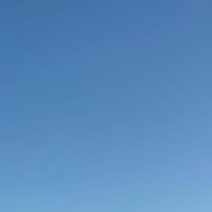 Meet your Posher, Ronin